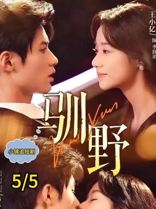 夫妻短剧《异地第七年》海报